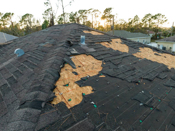 Roof Moss and Algae Removal in Rochester, IL